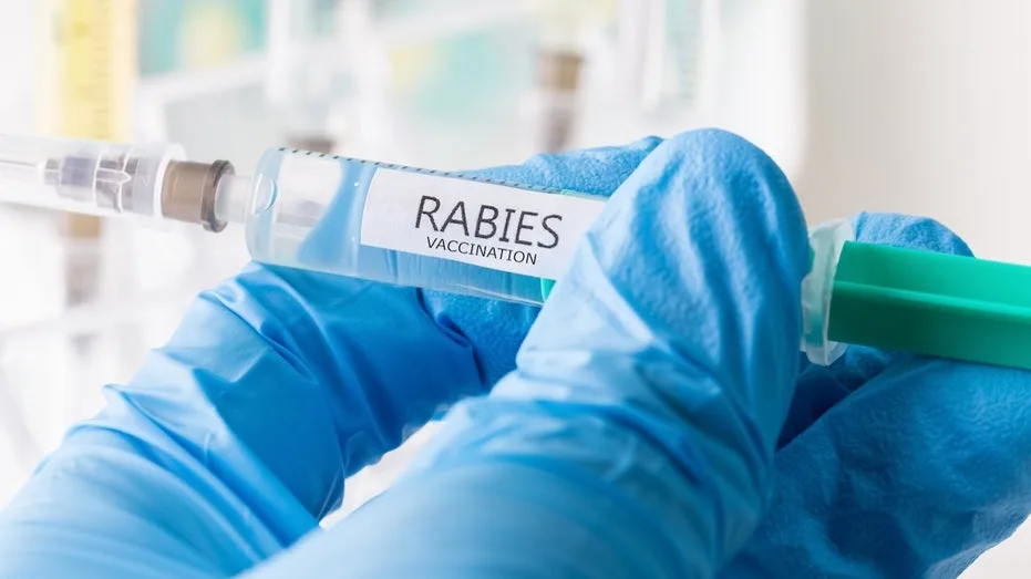 Ontario Boy Dies of Rabies After Bat Encounter While Sleeping