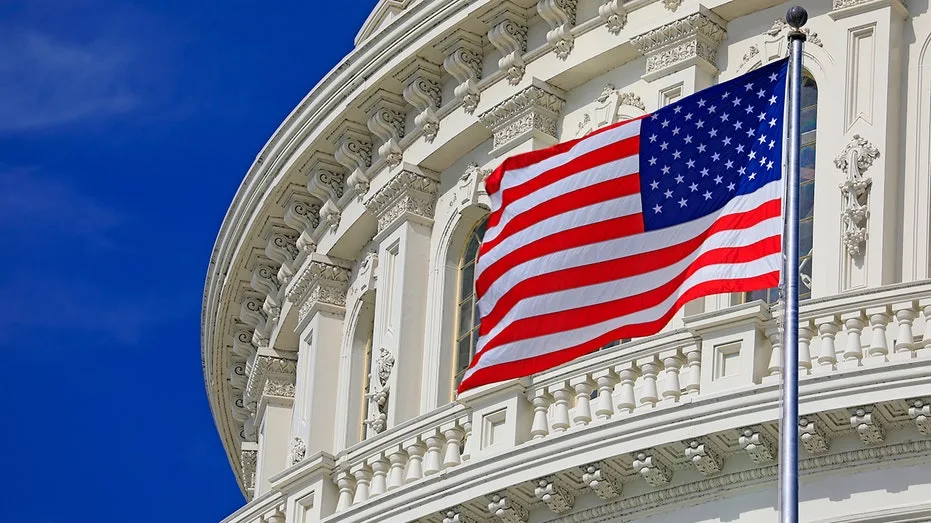 Historian Argues US as 'Multiracial Democracy' Was Founded in 1965, Not 1776, Ahead of 250th Anniversary
