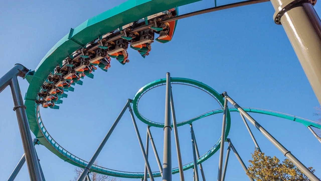Tree Topples at Six Flags Over Georgia During Storm, Injuring Four Guests