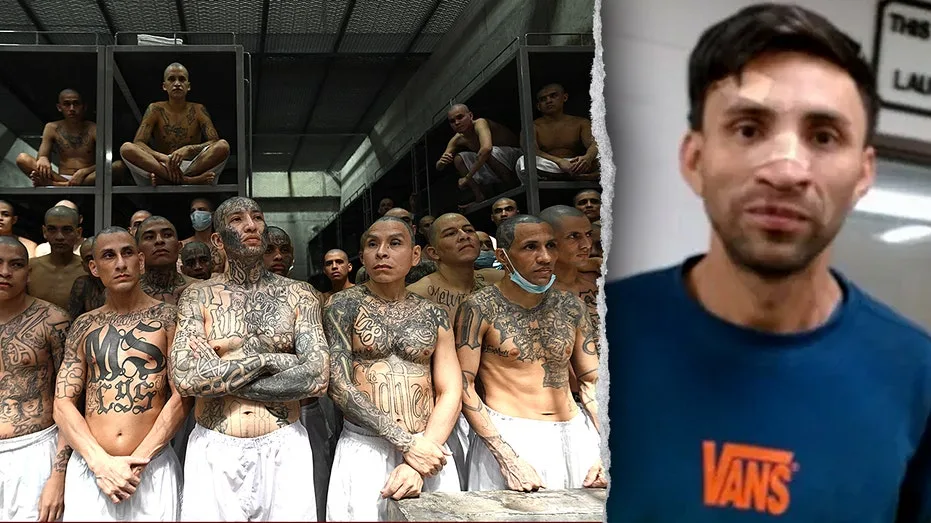 Federal Judge Orders Release of MS-13 Gang Member Convicted of Murder, Sparks DHS Outcry