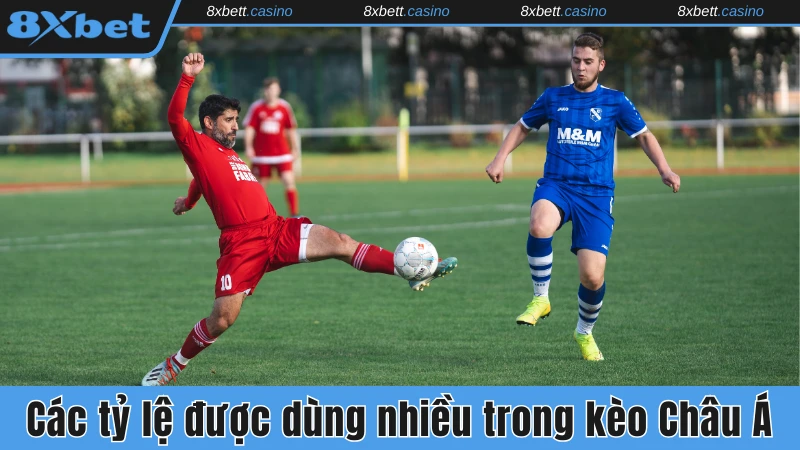Các tỷ lệ được dùng nhiều trong kèo Châu Á