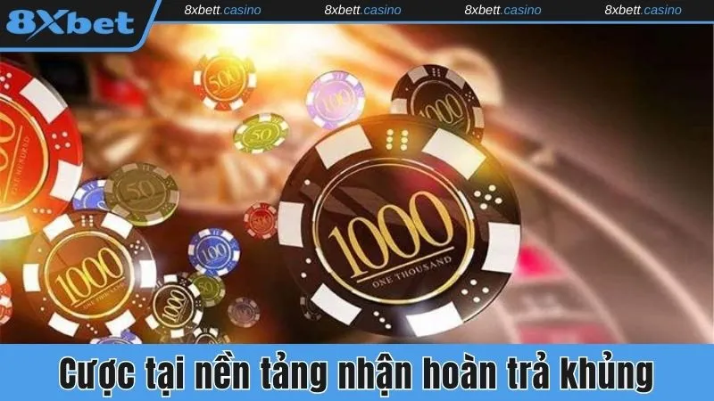 Cược tại nền tảng nhận hoàn trả khủng