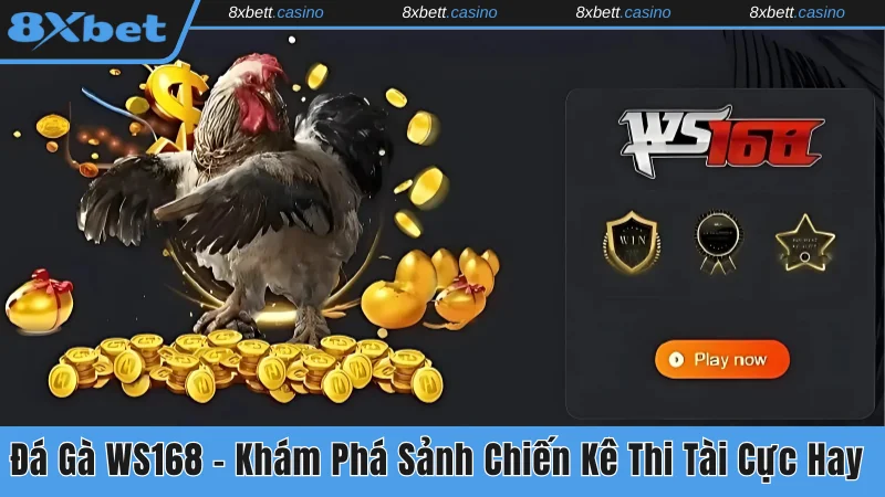 Đá gà WS168