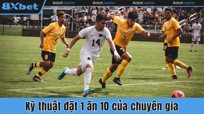 Kỹ thuật đặt 1 ăn 10 của chuyên gia